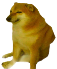 Teste Matheus Cachorro Levantando